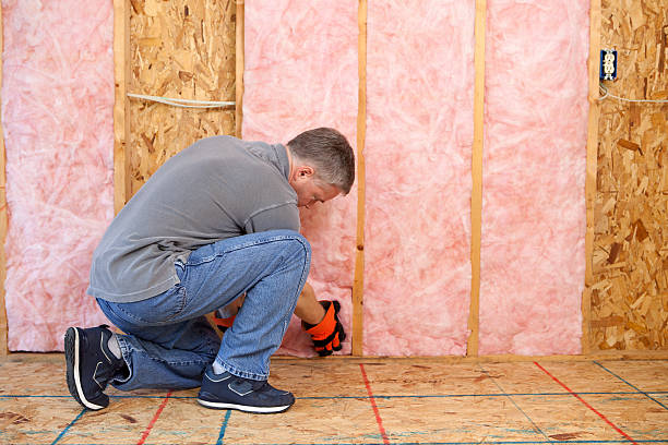 Best DIY Insulation Kits and Guidance in Sebree, KY