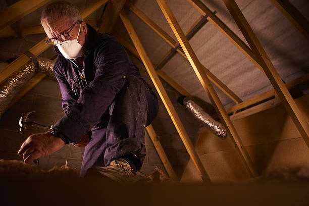 Best Specialized Insulation Services in Sebree, KY